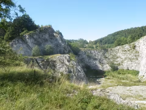 Lom